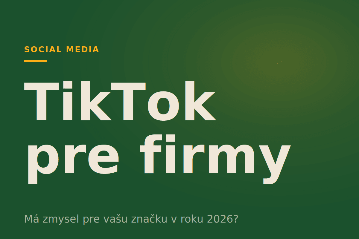 TikTok pre firmy