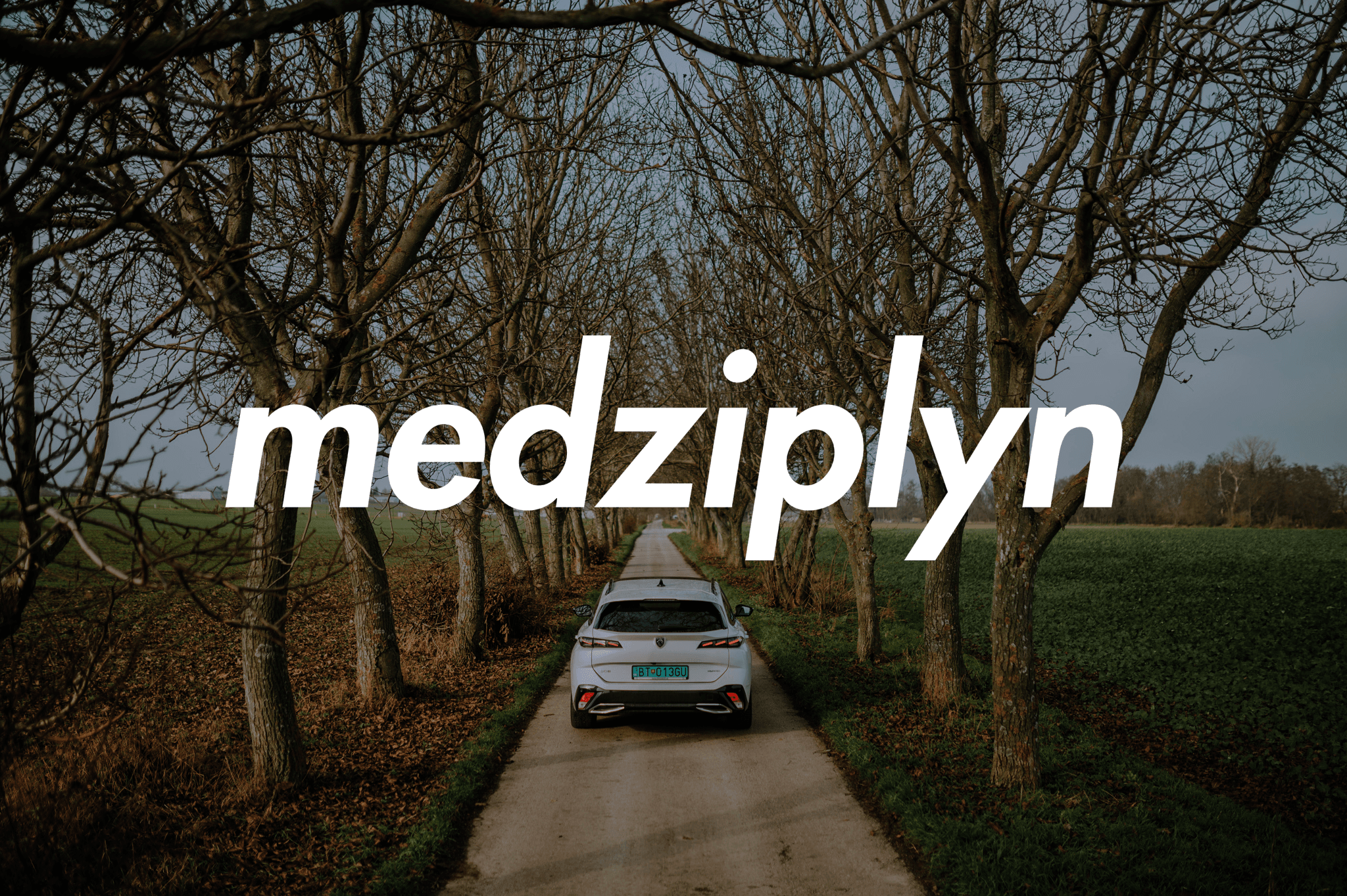 Medziplyn